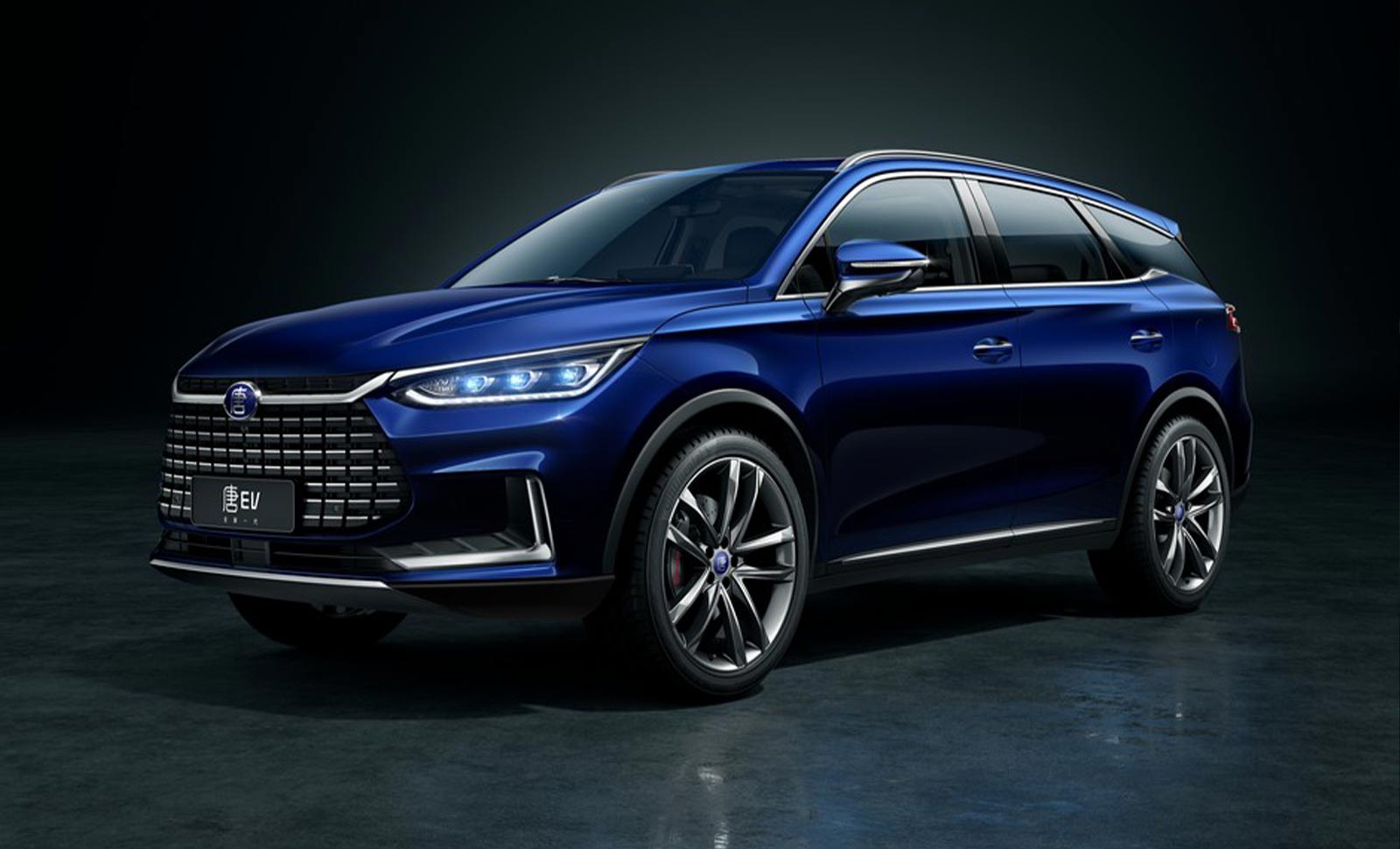 Byd tang 2019